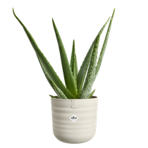 dune rond 14cm linen white